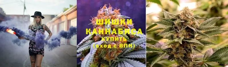 хочу наркоту  Кувшиново  Бошки марихуана тримм 